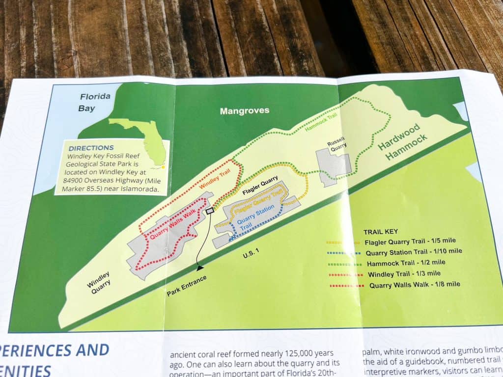A map of Windley Key State Park to help your navigation: there are the mangroves to the left, and different hammocks, stations and walk ways throughout. 