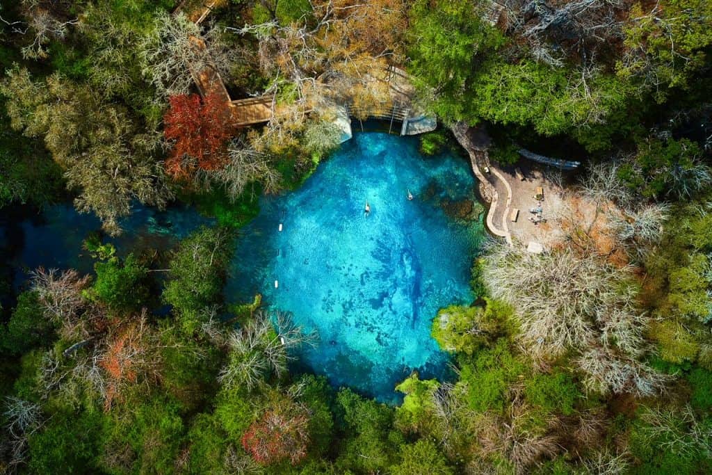 An overhead view of Blue Springs Hole at Ichetucknee springs show its dense foliage and blue water.