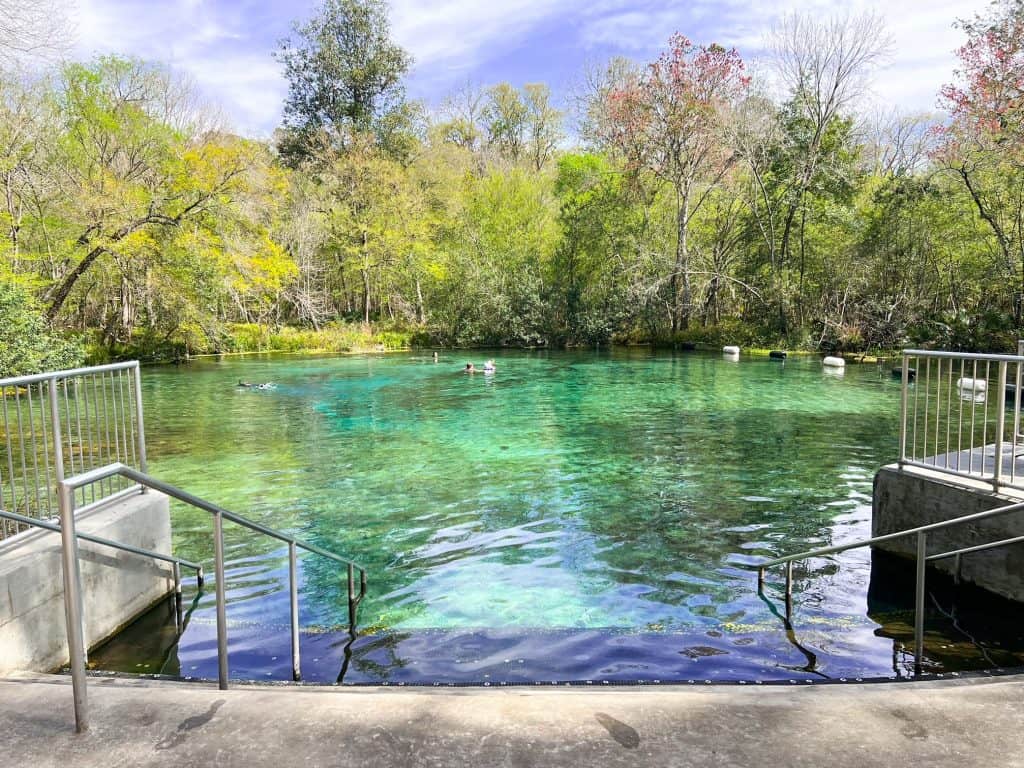 The stairs and entrance to the water at Ichetucknee springs have handrails and help you ease into the spring!