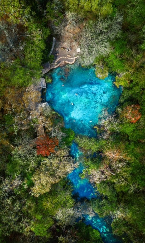 Another over-head picture of Blue Hole Springs that shows how the river feeds into and out of this spring. This is one of the best natural lazy rivers in Florida and it can be found at Ichetucknee springs! 