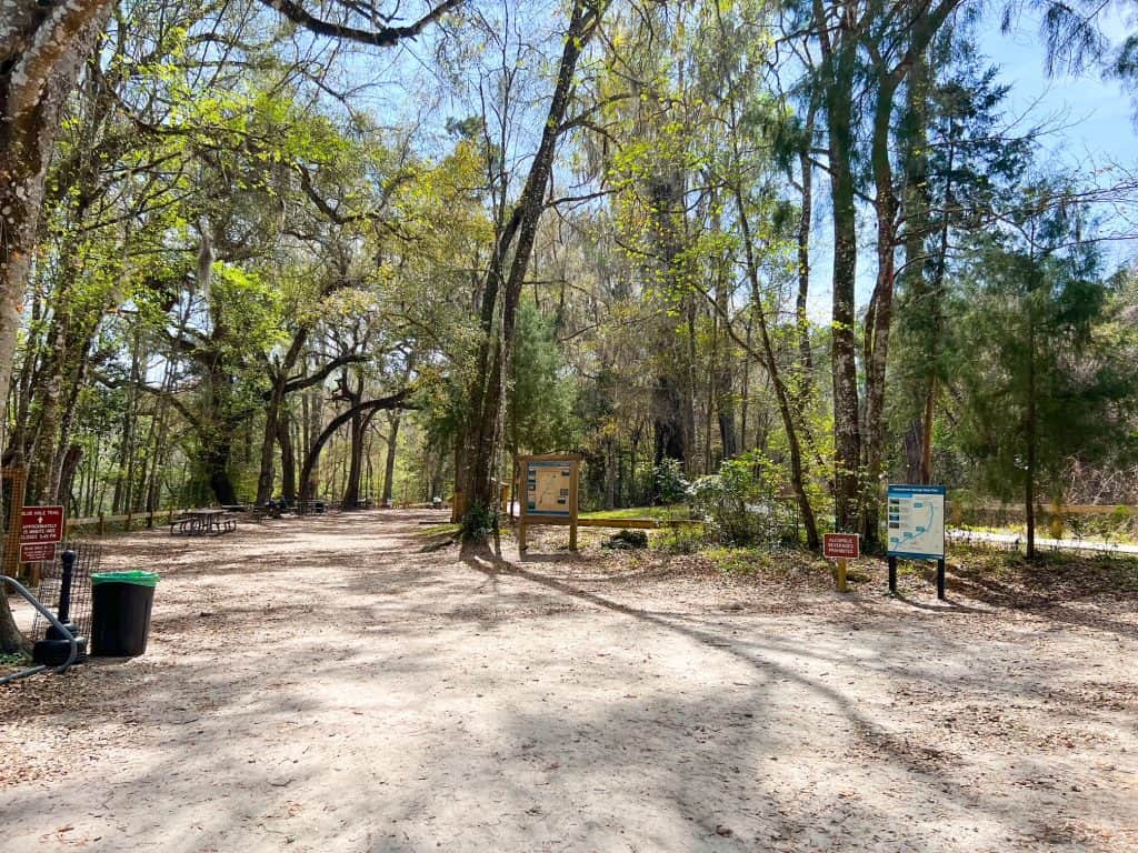 The camping area at Ichetucknee Springs is almost like a recreational area too: it features lots of open space, trees, picnic tables, and more.