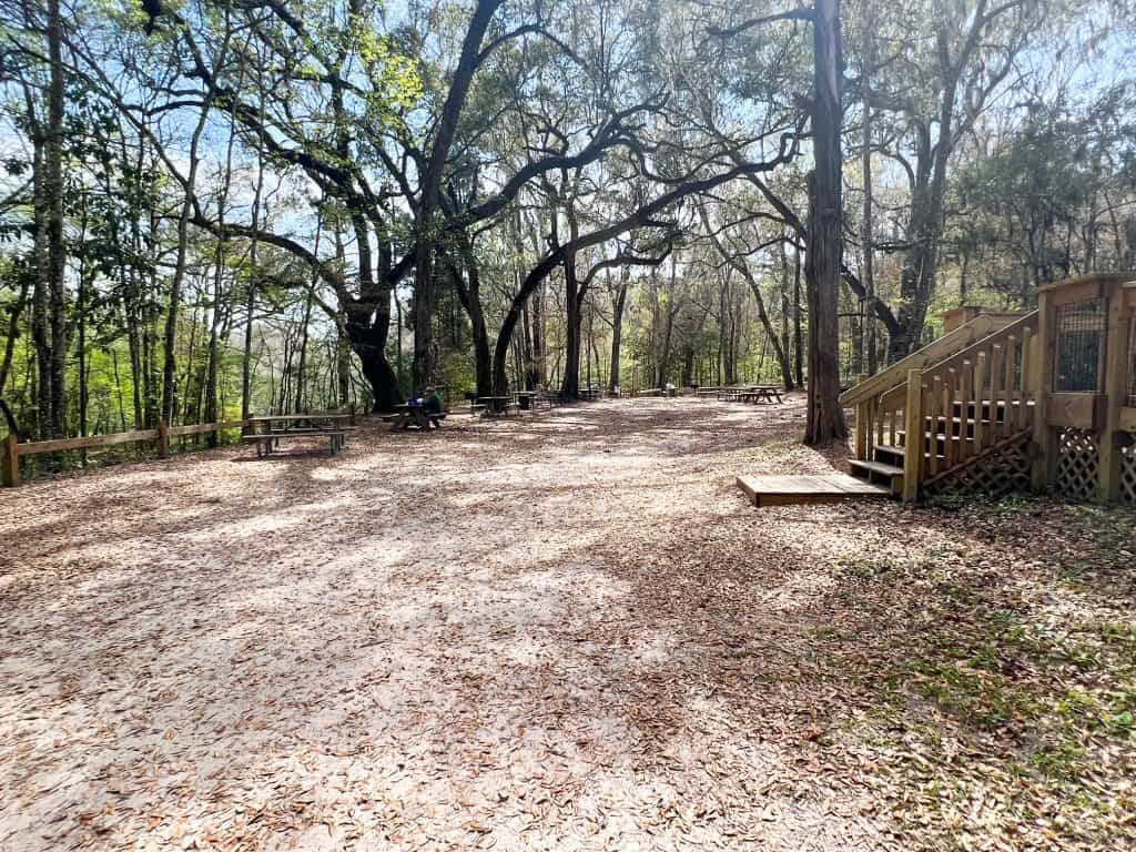 At Ichetucknee Springs, you can camp in three different areas: primitive tent, electric tent or with an RV. Whichever you choose, there are also places of community, like shown in this area with picnic tables and a camp store.