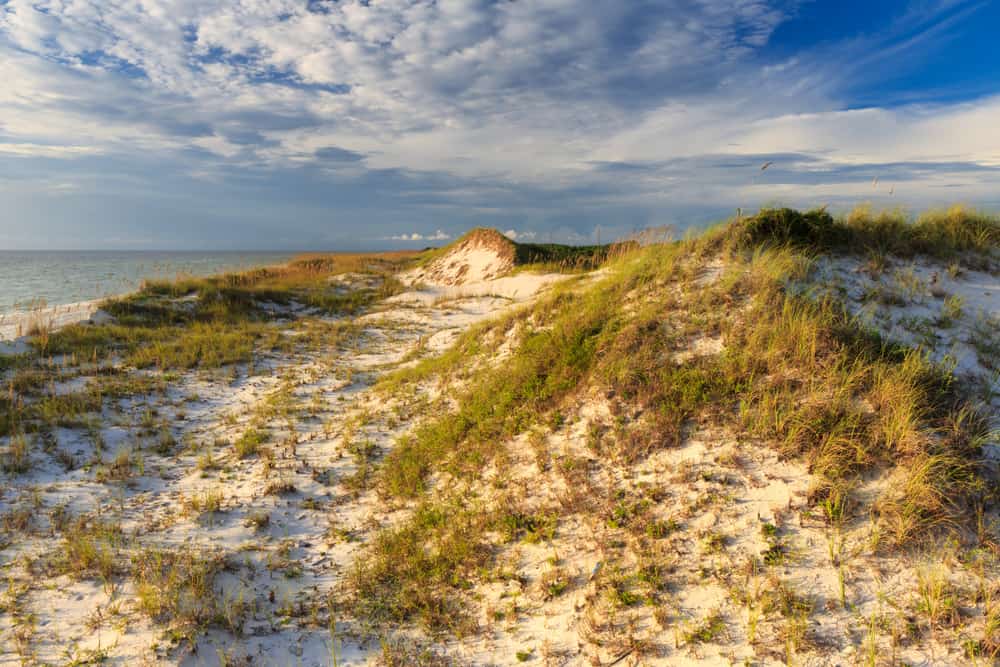 The sun makes the sand dunes at St. Joseph Peninsula State Park glow golden, with blue sky and water in the background.