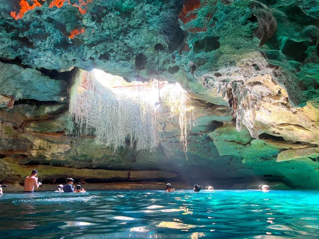 While in the water at Devil's Den, people swim, snorkel, and scuba dive in the blue water and they admire the ancient fossils in the cave.