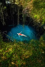 Tips for Devil's Den Prehistoric Springs: A Hidden Florida Oasis ...