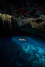 Tips for Devil's Den Prehistoric Springs: A Hidden Florida Oasis ...