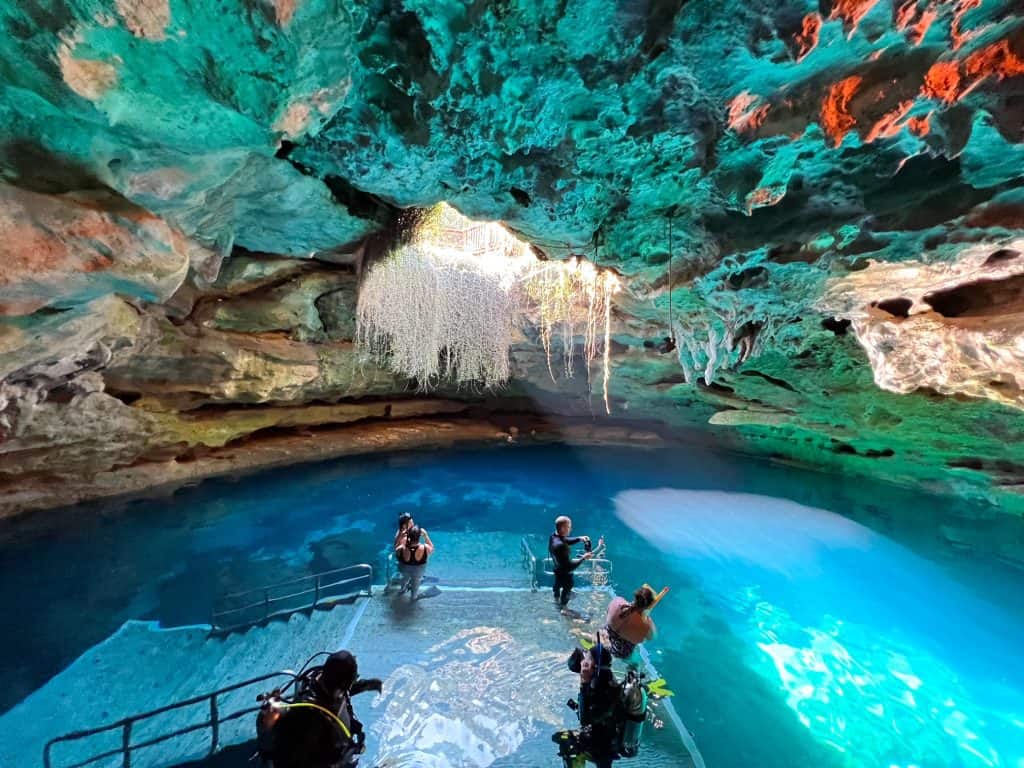 Devil's Den Prehistoric Spring Florida — Tat Voyage