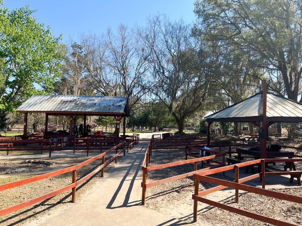 The picnic tables at the recreational area of Devil's Den are a part of the Florida vibe: they encourage people to eat outdoors and enjoy the sun. Campers often use this area too!