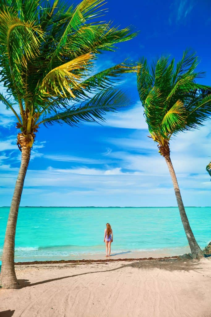 A photo of a beautiful woman in a purple bathing suit with long golden-brown hair standing at the water's edge on the beach. The ocean's water and sky provide blues and greens against the brown and white of the sand. Palm trees frame her silhouette on either side