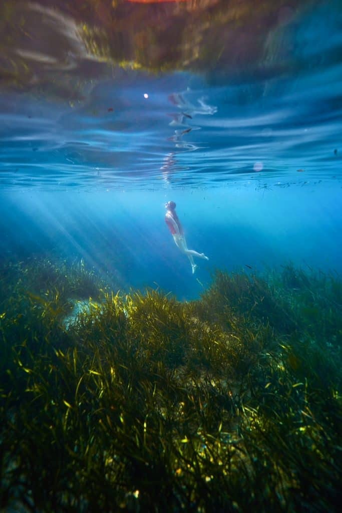 A woman in a red bathing suit and snorkel mask heads toward the surface of the water at Juniper Springs.