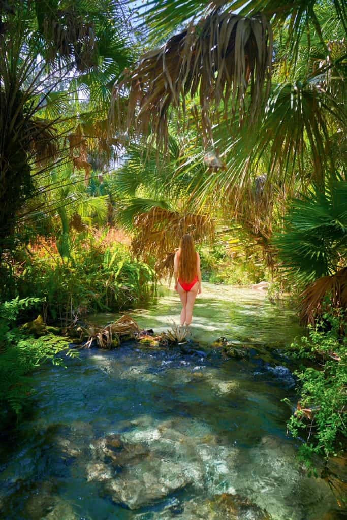 A woman continues to wade in ankle-deep water at Juniper Springs, beneath a trail of palms and oaks.