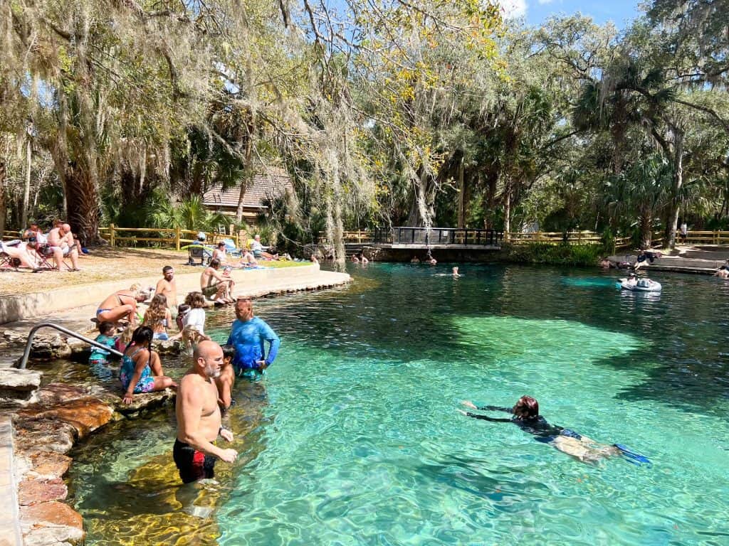 The crowds at Juniper Springs aren't crazy busy, and this crowd gathers at the steps of the pool.