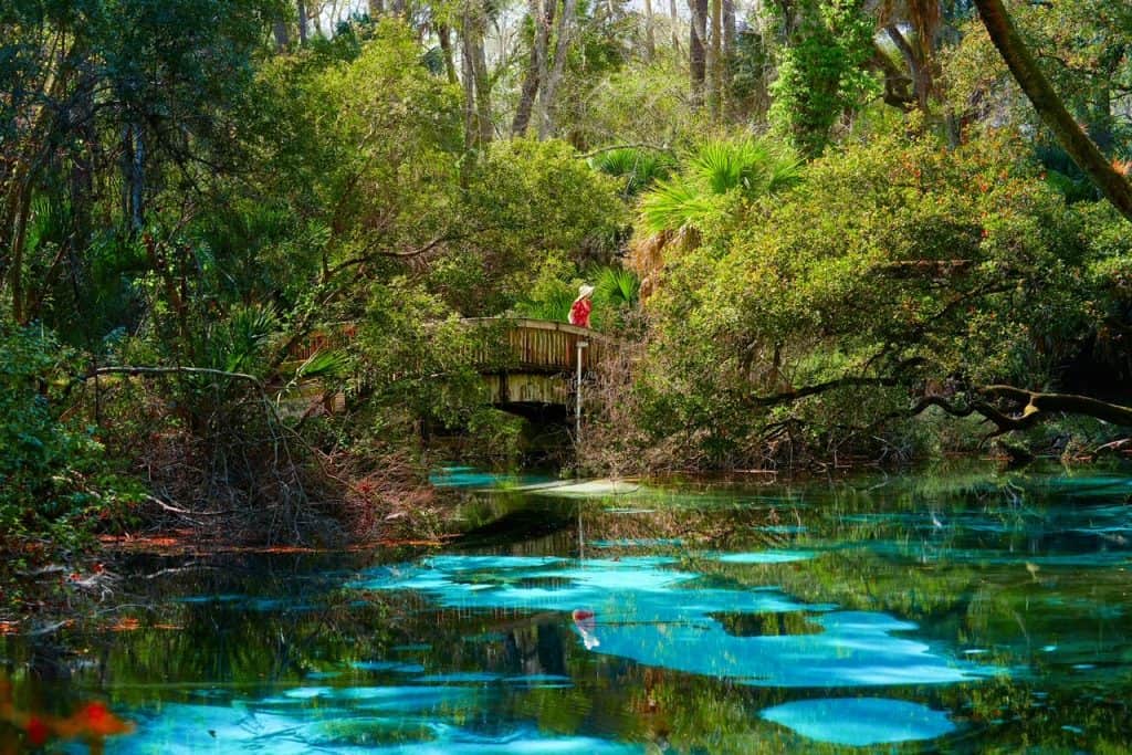 A woman stands on the wooden footbridge that overlooks the blue water at Fern Hammock in Juniper Springs.