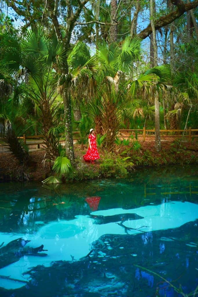 A woman in a floral dress stands on the edge of the pool at Fern Hammock, which is located at Juniper Springs.