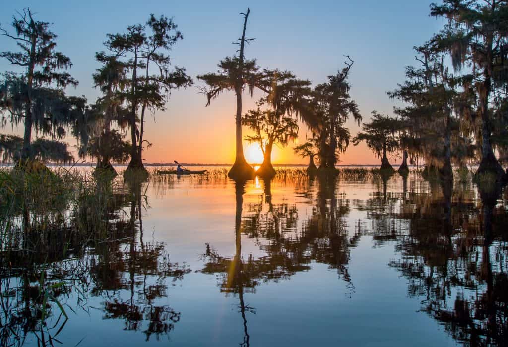 A lone kayaker enjoying Blue Cypress Lake as the sun rises. There are trees in the water and the sunrise in the distance.  