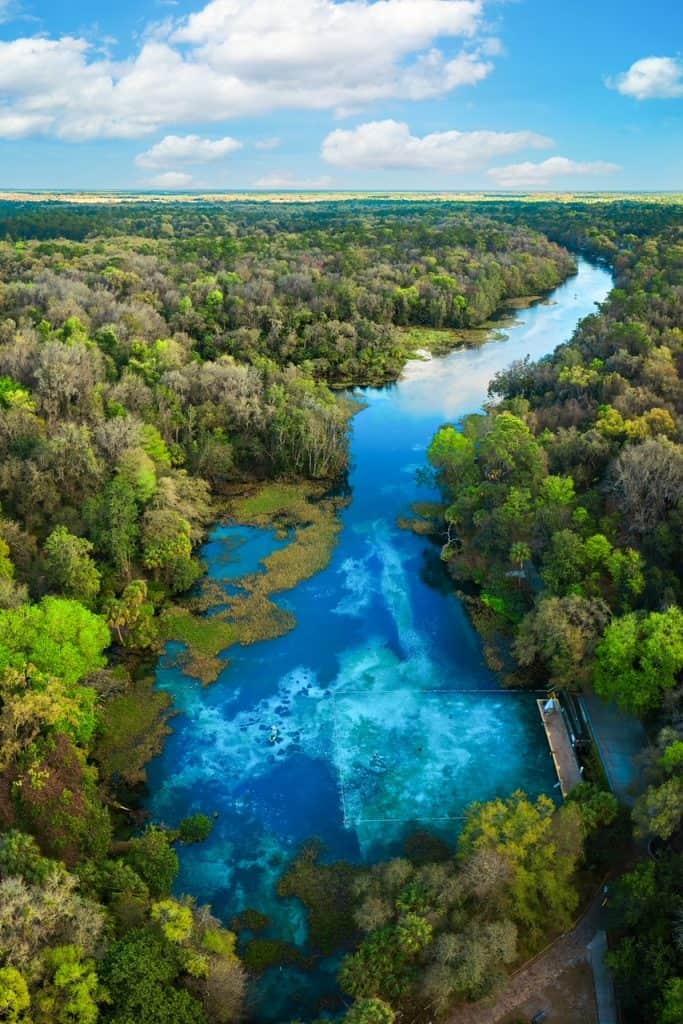 An over-head shot of the river that runs from Rainbow Springs State Park-- it is very blue and is surrounded by tons of trees.