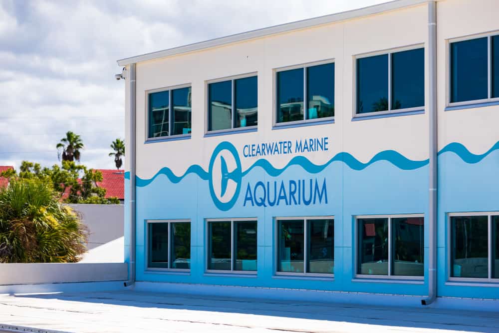 The blue and white building of the clearwater aquarium one of the things to do in Indian Rocks Beach