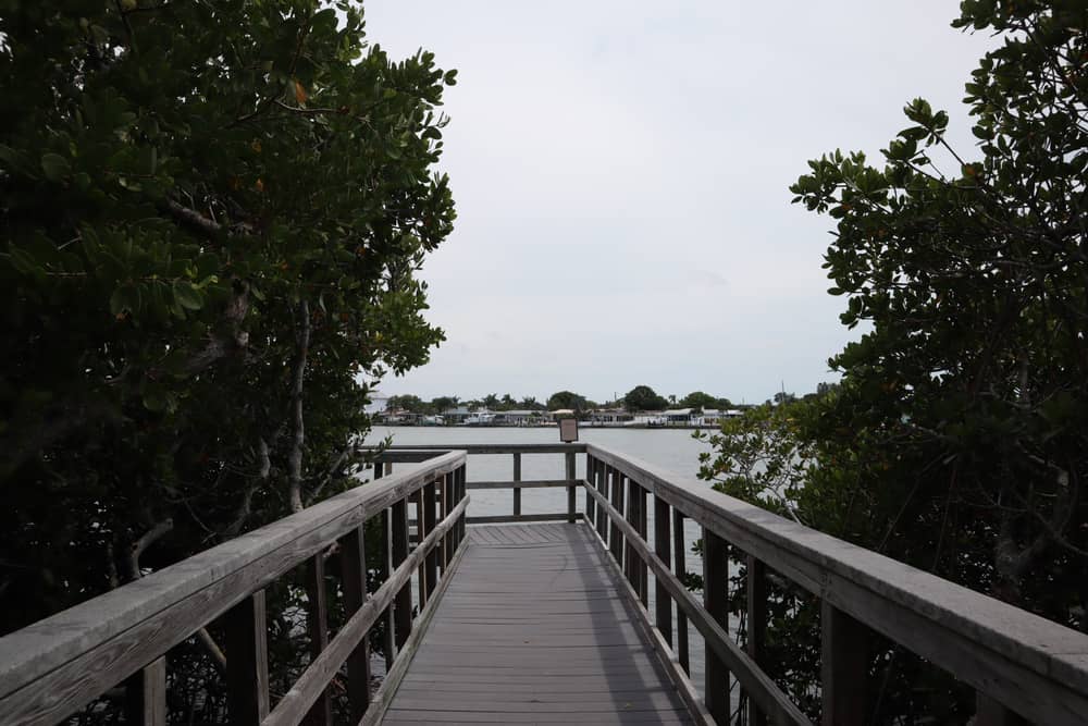 A wooden boardwalk leading through the Indian Rocks Beach Nature Preserve