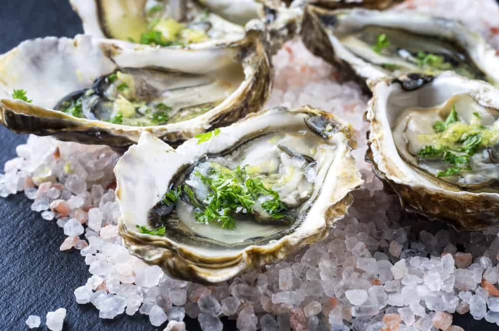 oysters on the half shell served at Salt Rock Grill