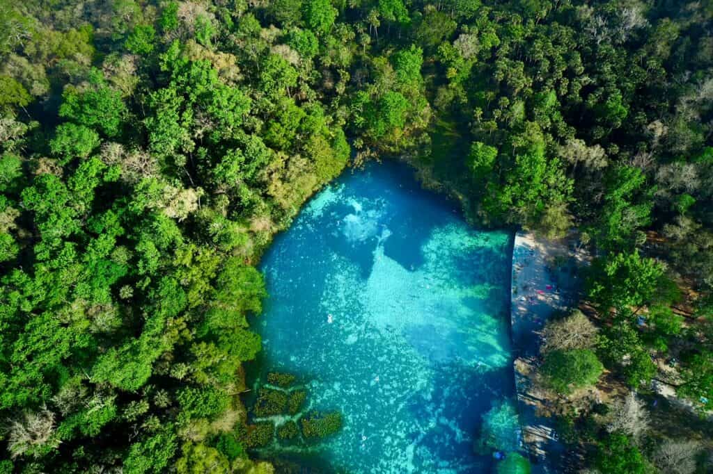 Aerial view of the bright blue water of Alexander Springs surrounded by green trees.