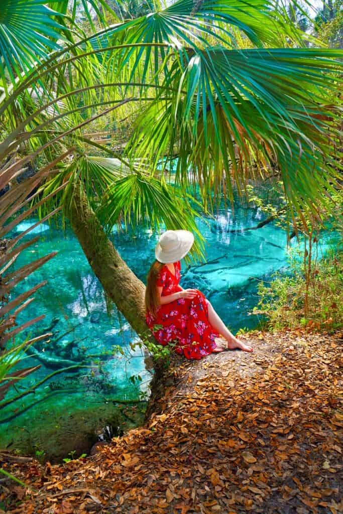 Girl in a red dress and a white hat sits at the base of a palm tree overlooking Juniper Springs.