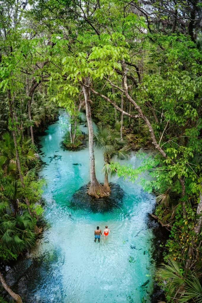 woman and man standing in blue water with trees