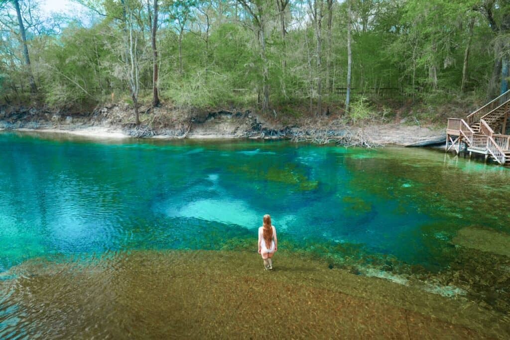 A Dozen Stunningly Beautiful Florida Springs You Must Visit - Coleman  Concierge