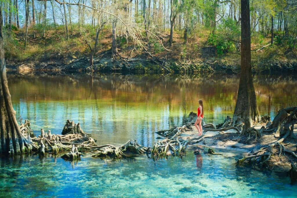 A woman in a red swimsuit stands among tree roots on the shore of Madison Blue Springs in Florida.