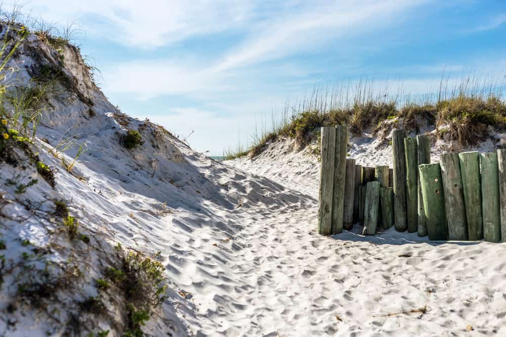 A large white sand dune with a wooden fence protecting it at a beach in Florida. 
