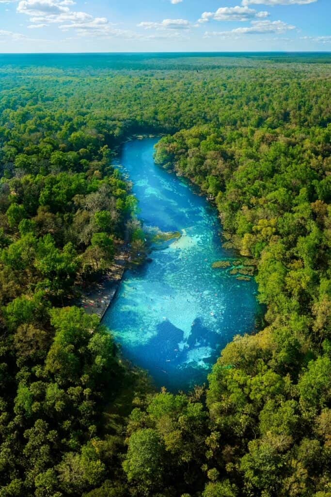 Aerial image of the bright blue Alexander Springs cutting through green trees.