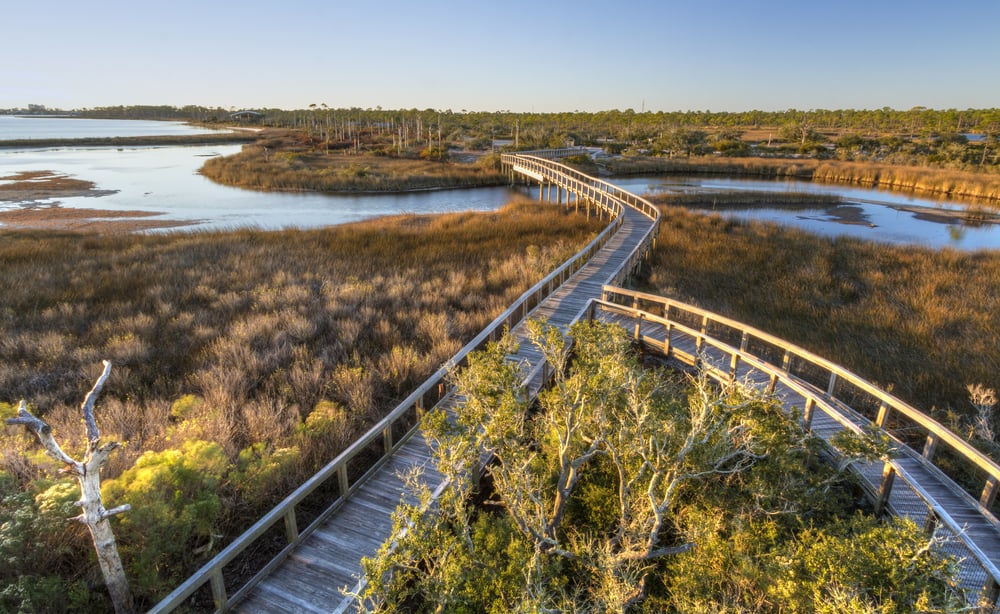 Aerial view of boardwalks spanning the marshes of Big Lagoon State Park, one of the best outdoor things to do in Pensacola.
