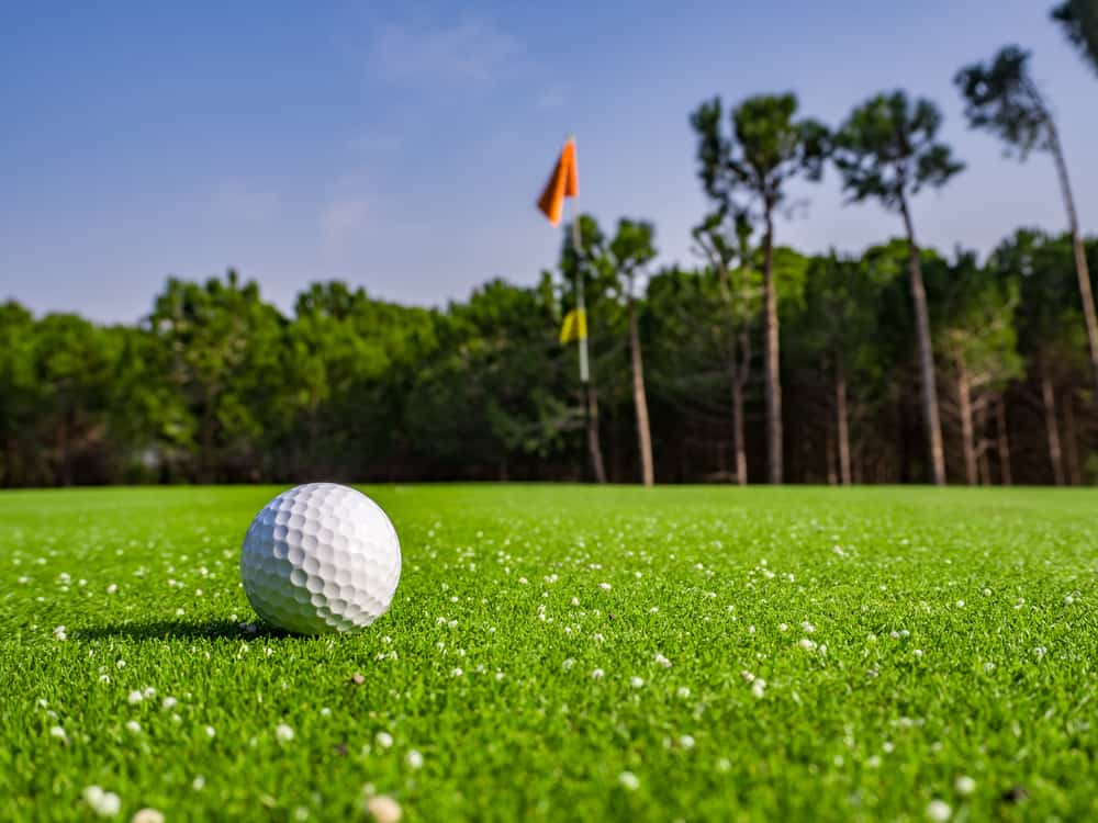 Close up of a gold ball on a golf green with palm trees and a flag in the background.