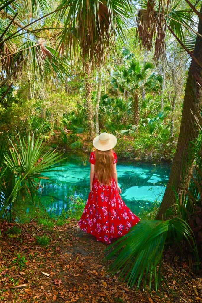 A woman in a long, floral, red dress and wide brimmed hat stands among trees on the edge of Juniper Springs near Orlando.