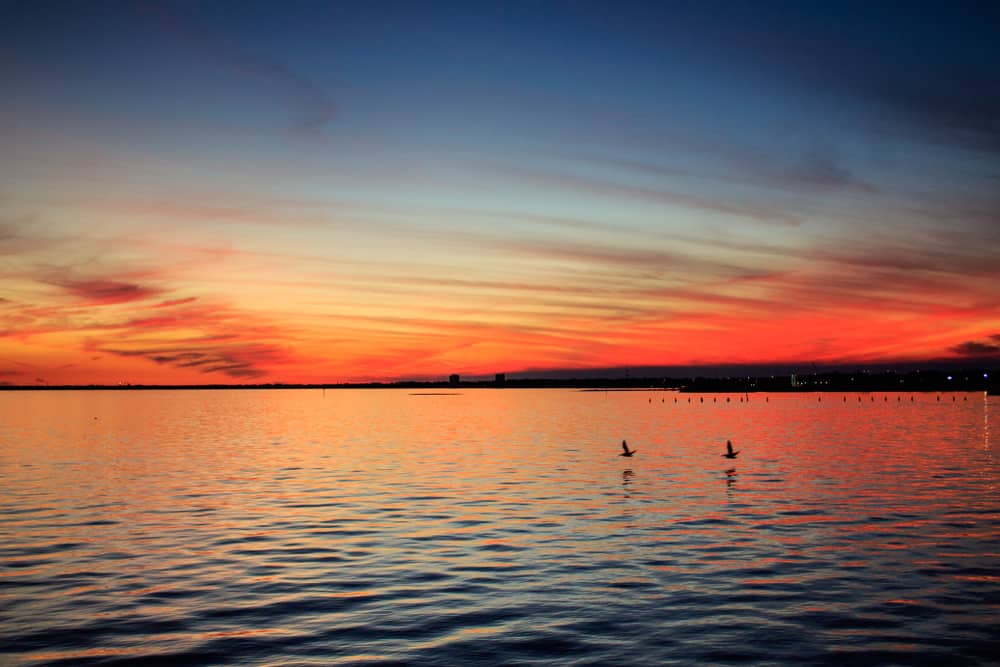 Pretty, red sunset over Pensacola Bay with bids flying over the water.