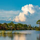 white clouds over trees surrounded by water things to do in punta gorda
