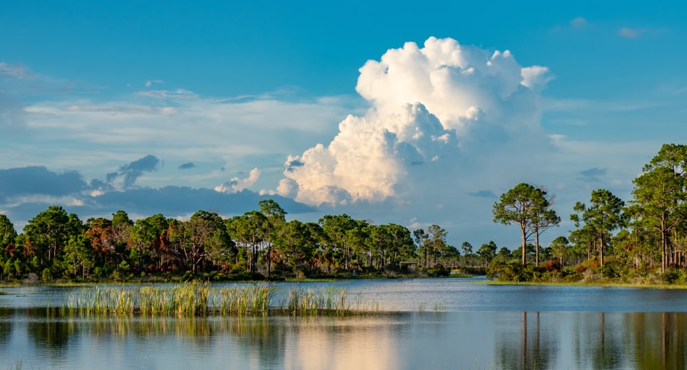 white clouds over trees surrounded by water things to do in punta gorda