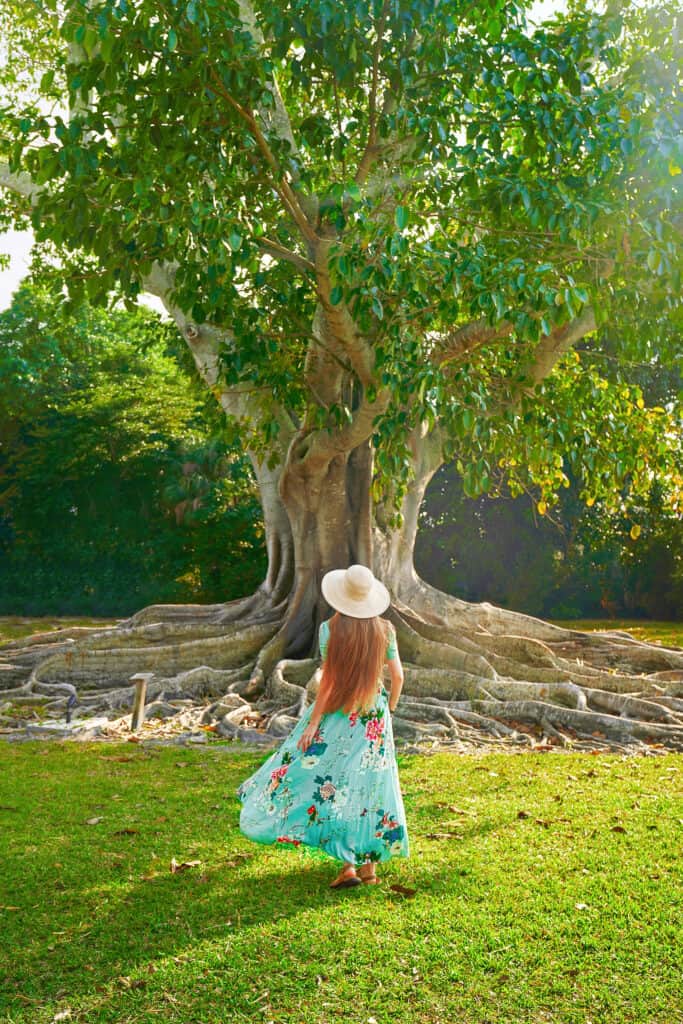 A picture of a woman in a colorful dress in front of a tree on a lawn