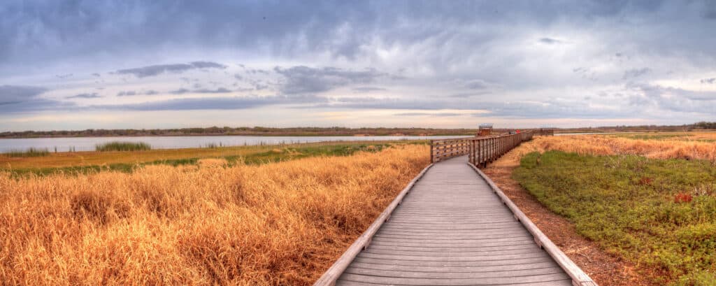 a picture of the walkway at myakka river state park, that goes by the river itself