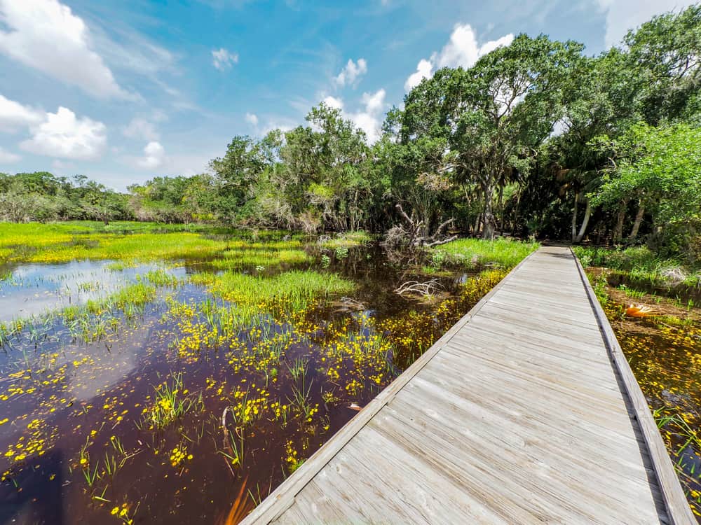 Myakka State Park is one of the best things to do on the west coast of Florida
