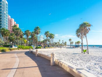 Palm trees line the beach walk in Clearwater Beach, Florida, where spending time on the white sand is one of the best things to do.