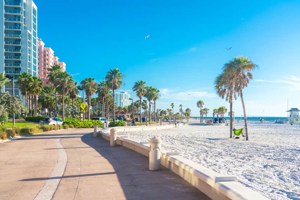 Palm trees line the beach walk in Clearwater Beach, Florida, where spending time on the white sand is one of the best things to do.