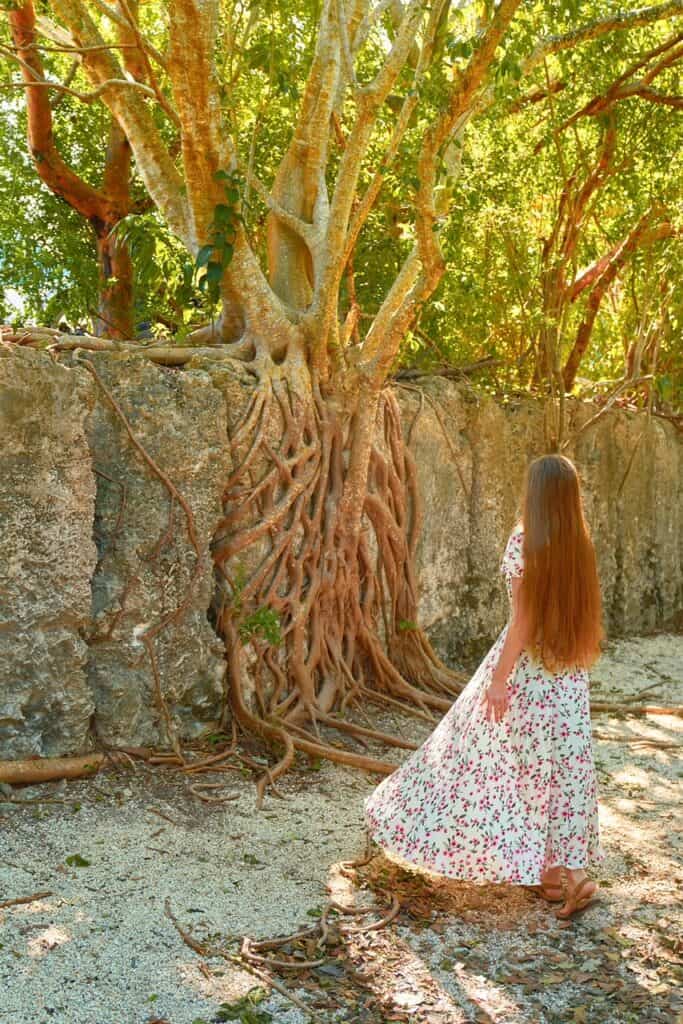 Woman in flowing, floral dress stands looking at tree roots overtaking a concrete wall.