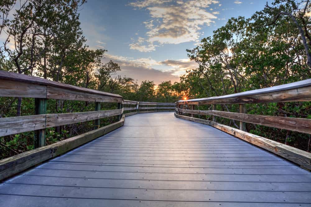 Low angle shot of the boardwalk at Clam Pass Park at sunset.