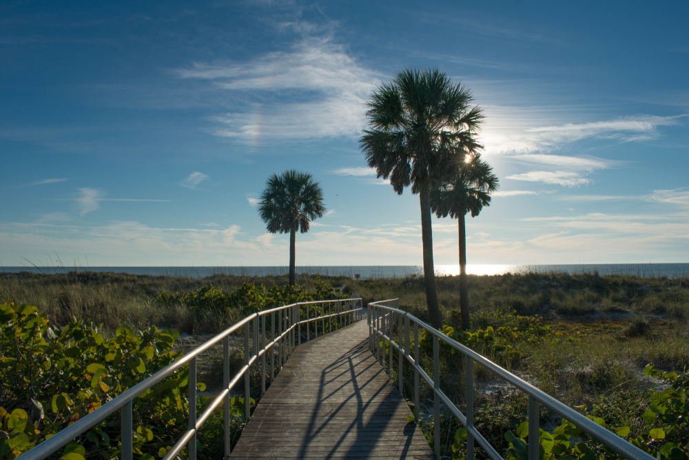 A wooden path flanked by three palm trees leads to the waters of the Gulf of Mexico, where swimming is one of the most popular things to do in Madeira Beach