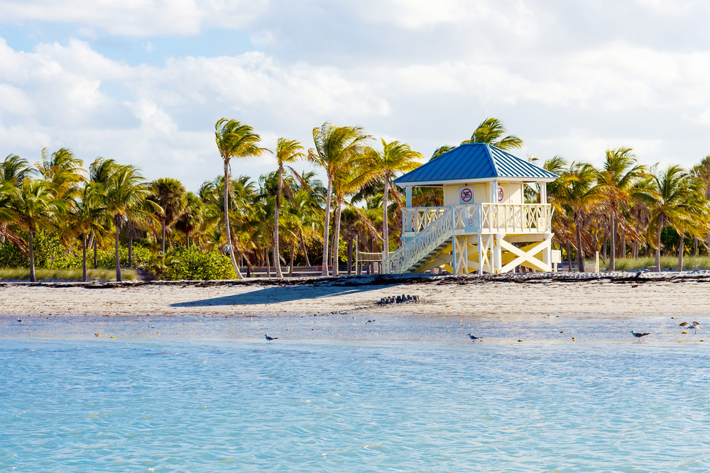 View from the water of Crandon Park Beach with a lifeguard stand and palm trees.