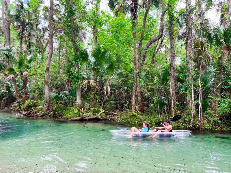 Kings Landing Florida Kayaking Crystal Clear Emerald Cut Florida Trippers