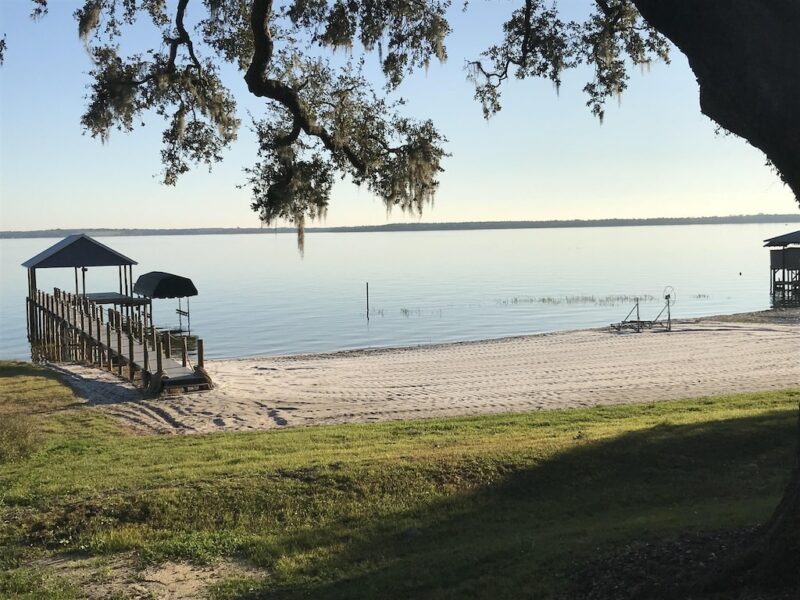 12 Best Airbnbs In Ocala (Cabins, Cottages, and more!) - Florida Trippers