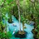 A group of kayakers paddle down the blue river of Kings Landing Florida, enjoying the foliage around them and the blue waters.