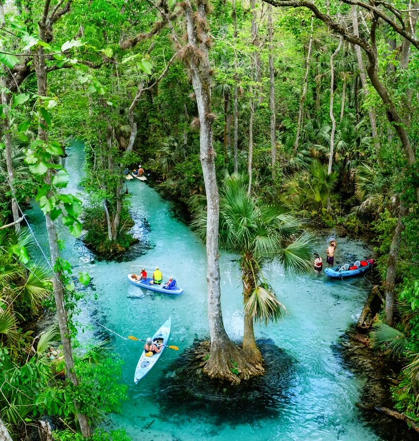 A group of kayakers paddle down the blue river of Kings Landing Florida, enjoying the foliage around them and the blue waters.