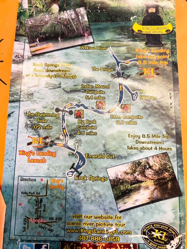 Kings Landing Florida Kayaking Crystal Clear Emerald Cut Florida